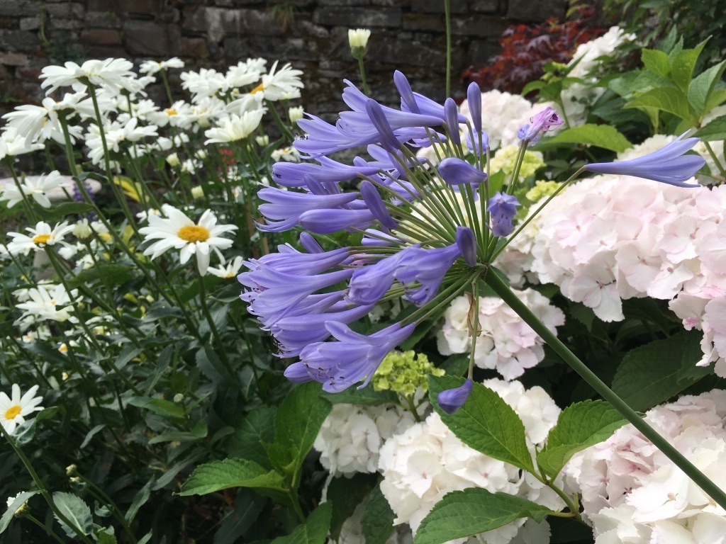 Garden Flowers Riverside House Bed & Breakfast