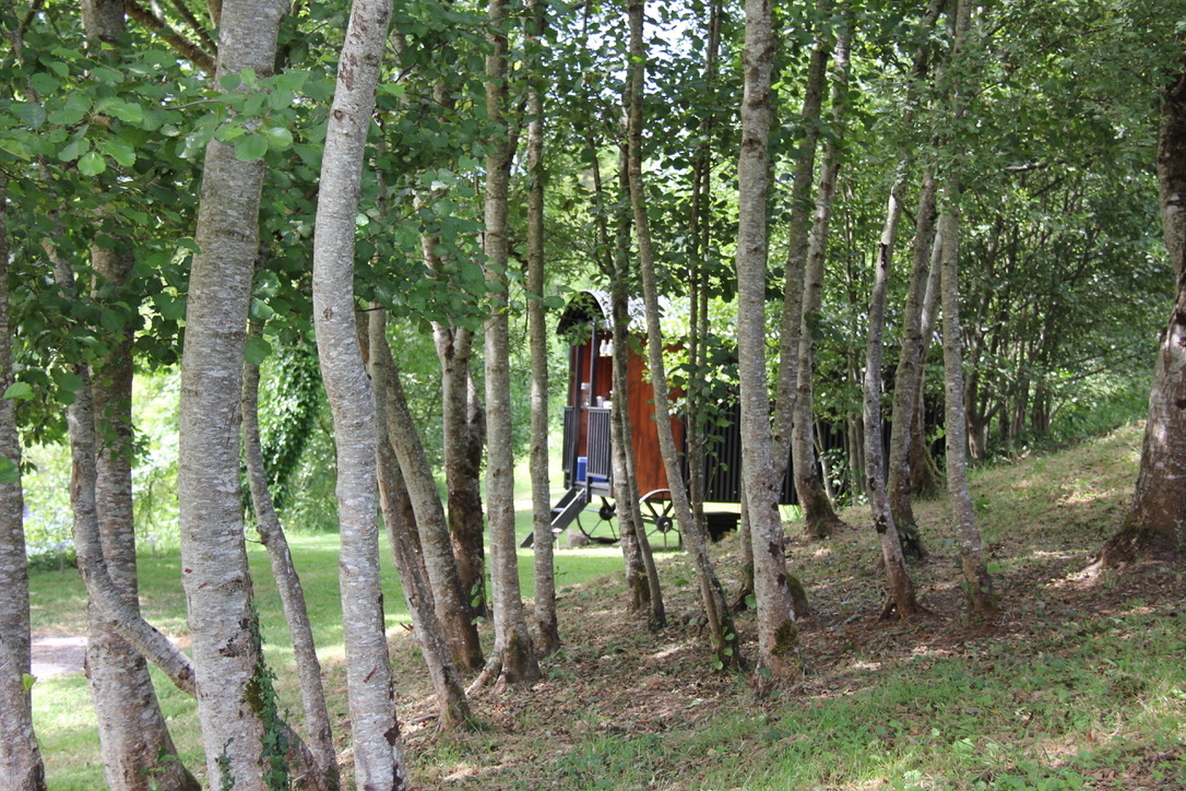 Forest Glamping Shepherd's Hut Newport Mayo